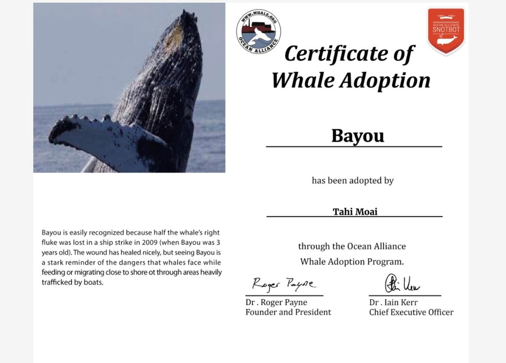 We adopted a whale! her name is Bayou!